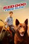 Red Dog: True Blue (2016) Red Dog: True Blue (2016)