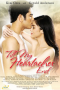 Till My Heartaches End (2010) Till My Heartaches End (2010)