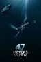 47 Metres Down (47 Meters Down) (2017) 47 Metres Down (47 Meters Down) (2017)