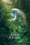 Glass Garden (2017) Glass Garden (2017)