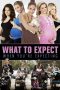 What to Expect When You're Expecting (2012) What to Expect When You're Expecting (2012)