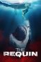 The Requin (2022) The Requin (2022)