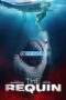 The Requin (2022) Sub The Requin (2022) Sub