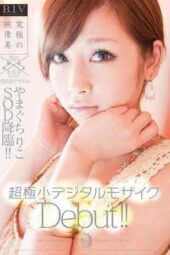 STAR-255 The national idol Yamaguchi Riko makes her SOD debut with an ultra-tiny digital mosaic!!