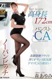 FSTU-021 Tall no-panty bitch in pantyhose: Flight attendant Mori Ayami