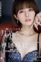 DLDSS-482 “The beauty you want to destroy” Tsukino Runa: DAHLIA exclusive transfer, 38 orgasms sweat and bodily fluids in “primal” creampie sex