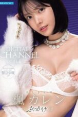 IPZZ-802 Digital Channel DC144: Kaede Karen, beautiful goddess’ first bukkake