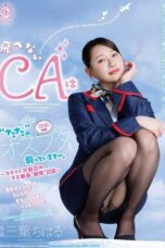 DLDSS-543 The flightless flight attendant is raising a male pig as pet. The worthless captain’s ‘training’ diary on a flight cancellation day