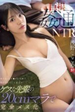 SNOS-399 Huge cock adultery NTR: my girlfriend who accepted my 8cm cock with a smile gets completely turned into a bitch by my scumbag senpai’s 20cm cock Asano Kokoro